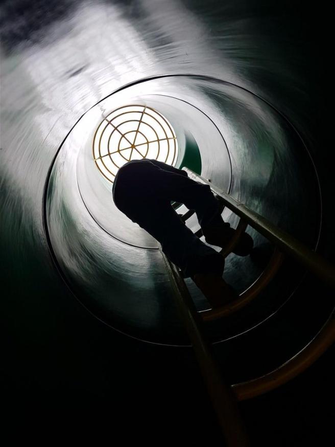 Taman Botani Perdana