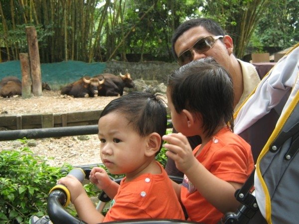 Zoo Negara