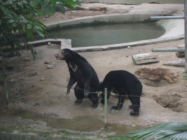 Zoo Negara