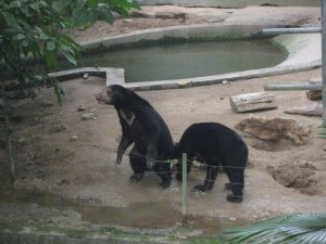 Zoo Negara